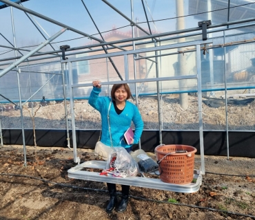 2023 Korea Trip- Visit Shine Muscat Farm